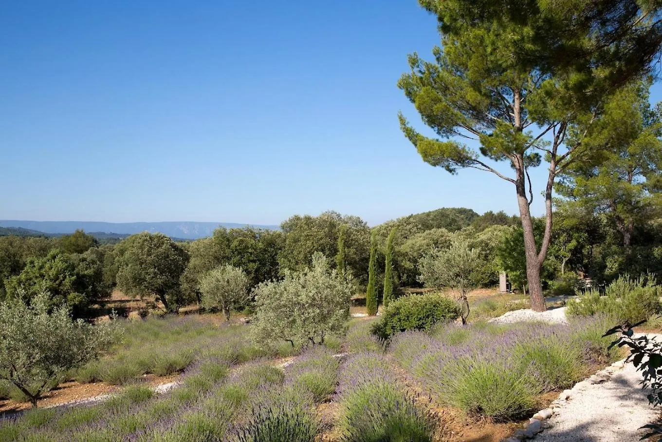 La Cle Des Champs, Boutique Hotel & Spa - Le Mas De Garrigon  Roussillon (Vaucluse)