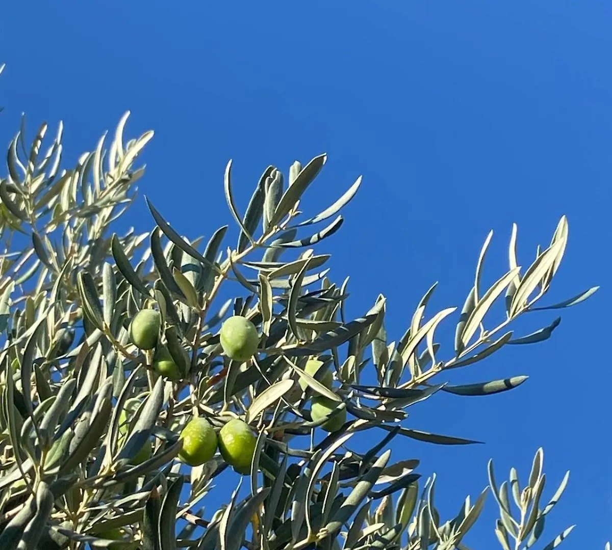 La Cle Des Champs, Boutique Hotel & Spa - Le Mas De Garrigon  Roussillon (Vaucluse)