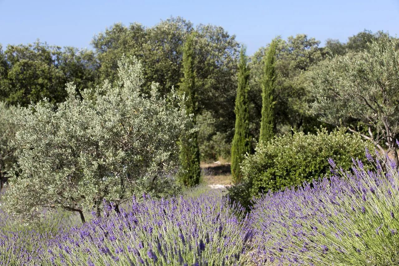 Hotel La Clé des Champs&Spa Roussillon en Isere